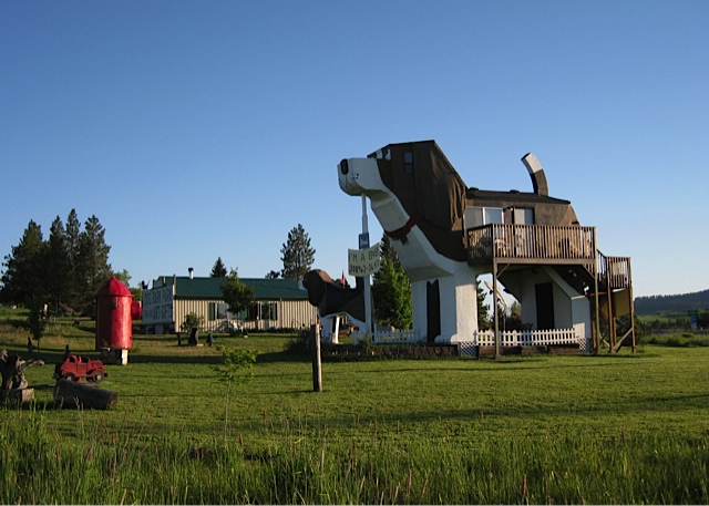stay in the world's only dog-shaped hotel